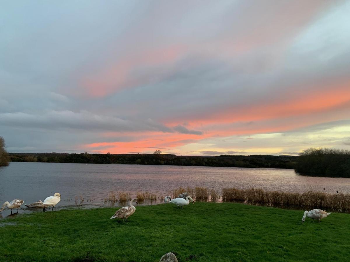 Lochside Loft - Self Catering Apartment For 2 In A Great Location For Inverness Airport And Both Cabot Highlands & Nairn Golf Courses Екстериор снимка